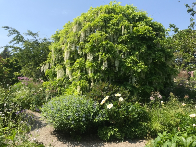 The Walled Garden at Middleton Lodge